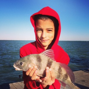 Catching Fish Captiva Island, Florida ~ @KarinKath