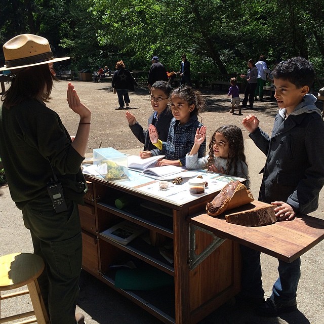 Junior Ranger Muir Forest