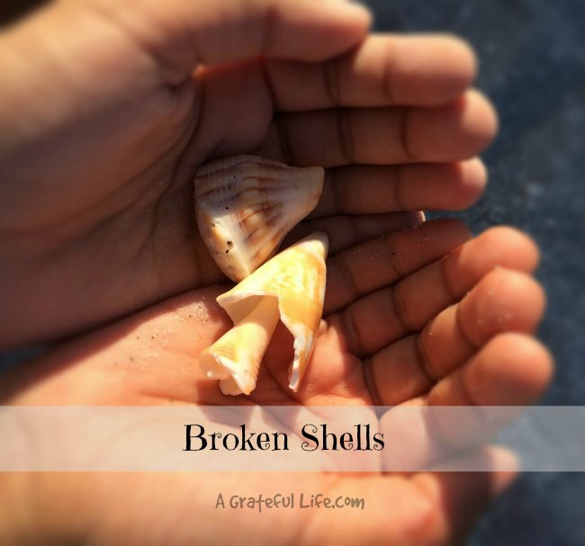 broken shells |A Grateful Life