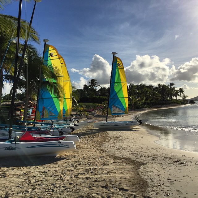 Hobie Cat