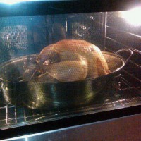 My Turkey