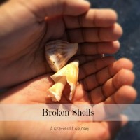 Broken Shells