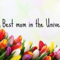 The Best Mom In the Universe